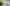 IMG 3483 web