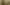 Picture-82483410-4