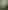 Picture-83337845-5