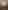 Picture-83337845-3